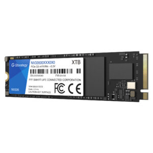 SSD G-Storategy NV335, 256GB, PCIe Gen3 NVMe